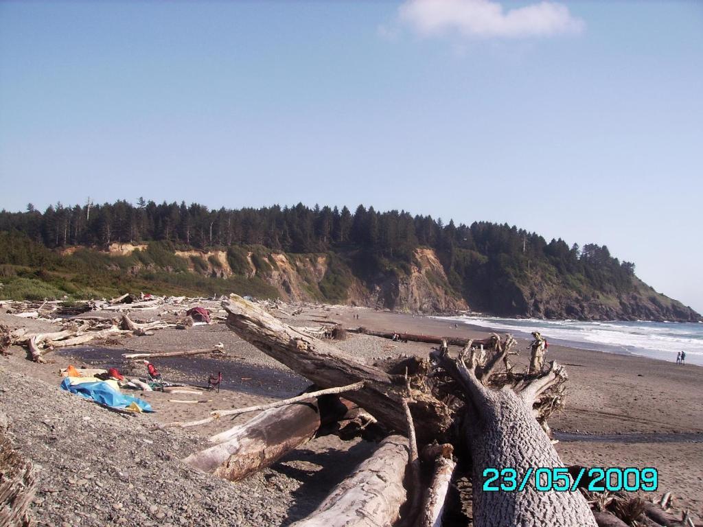 Rooster Hill Guest House Port Angeles Extérieur photo